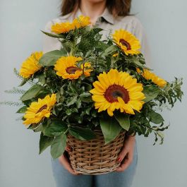 Centro de flores de Girasoles