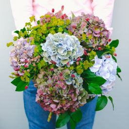 Ramo de Hortensias | Floristería Bourguignon