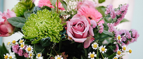 Las Mejores Flores Para Regalar En San Valentín Blog Bourguignon