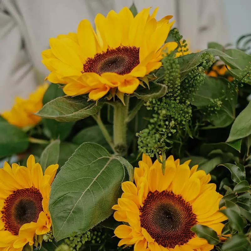 Centro de flores de Girasoles