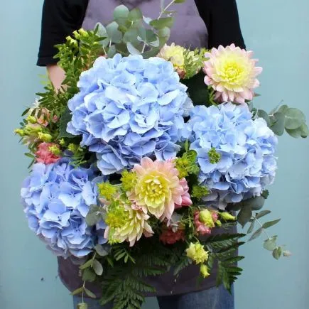 Ramo de Hortensias azules y dahlias rosas