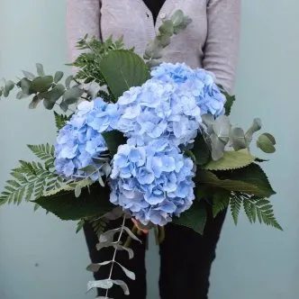 Ramo de hortensias azules