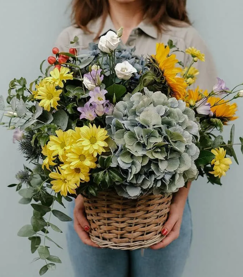 Nuestra colección de centros de hortensias